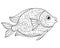 Fish - coloring antistress - vector linear picture for coloring. Outline. Hand drawing. A small river or aquarium fish