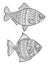 Fish coloring pages. Fashion drawing ocean animals drawings for adults books linear art vector line