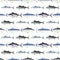 Fish. Commercial Fish species. Colored Vector