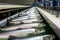 Fish conveyor belt. Generate Ai