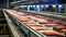 fish conveyor, fish processing plant