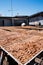 Fish cracker lay on bamboo racks for natural drying