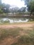 A fish cultivation some ponds looking