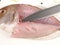 Fish - Cutting Sea Bream Fillet