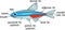 Fish external anatomy. External structure of Neon tetra Paracheirodon innesi