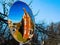 Fish Eye Mirror Brick Building