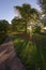 Fish eye perspective of dappled sunlight in sheffield botanical garden