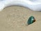 Fish eyes view green mussel shell on sand beach surround by white bubble wave in sunny day