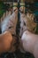 Fish feet pedicure in China