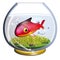 Fish in the fishbowl