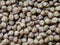 Fish food texture, brown pellets background, close-up view