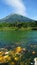 Fish,green, water, mount and blue sky from embung kledung centraljava