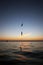 Fish hanging on the fishing rod in the middle of the sea at sunset