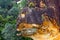 The Fish-head, Borneo, Malaysia