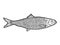Fish herring. Sketch scratch board imitation. Black and white. Engraving raster.