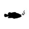 Fish and hook glyph icon on white background