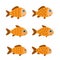 Fish icon isolated, aquarium fish silhouette illustration. Colorful cartoon flat aquarium fish icon for your design.