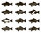 Fish icon set