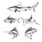 Fish icons