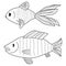 Fish icons. Creative illustrations. Black liner sketch. Idea for decors, logo, patterns, papers. Isolated vector art.