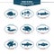 Fish icons in vector