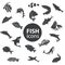 fish icons. Vector illustration decorative design