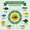 Fish infographic concept, flat style