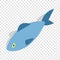 Fish isometric icon