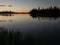 Fish jumping on calm lake in early morning