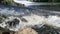 Fish jumping out of water. Iberian chub trying to get over weir in fast-flowing river.