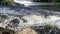 Fish jumping out of water, trying to get over dam in fast-flowing river.