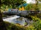 Fish ladder Washington Salmon Run