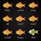 Fish language alphabet - how to understand your fish?