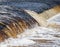 Fish leaping on the river Tyne at Hexham, Northumberland, UK