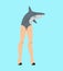 Fish with legs. Mermaid vice versa. Fish head woman legs