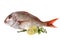 Fish with Lemon Lime and Herbs Isolated