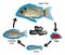 Fish Life Cycle Infographic Diagram