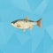 Fish made with triangles on polygonal background