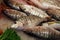 Fish market- Sand steenbras (Lithognathus mormyrus)