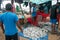 Fish market in Sri Lanka. Fishermen sell the fish they have just caught.