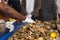 Fish market vendor sorts through shellfish