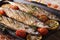 Fish menu: grilled saury with vegetables on the grill pan