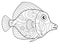 Fish - ocean inhabitant antistress coloring - vector linear picture for coloring. Tropical fish - for a coloring book on a monk th