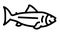 fish ocean line icon animation