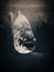Fish piranha closeup, black and white. Scary nature background.