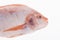 Fish, Platy mojarra, Nilotic tilapia, Chitralada tilapia on white background