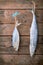 Fish preservation by drying . Sardine and barracuda salted hanging on old wooden background .
