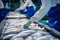 Fish processing plant. People sort the fish moving along the conveyor. Sorting and preparation of fish