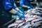 Fish processing plant. Production Line. People sort the fish moving along the conveyor. Sorting and preparation of fish.