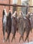 Fish, river, bream, dried, hanging, yard, garden, hooked, fishing, village, selective focus, salted, snack